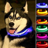 Dog Safety LED Collar