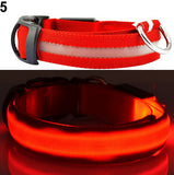 Dog Safety LED Collar
